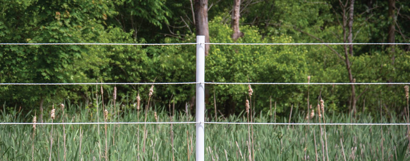 Electric Rope Fence | Safe Horse Fencing
