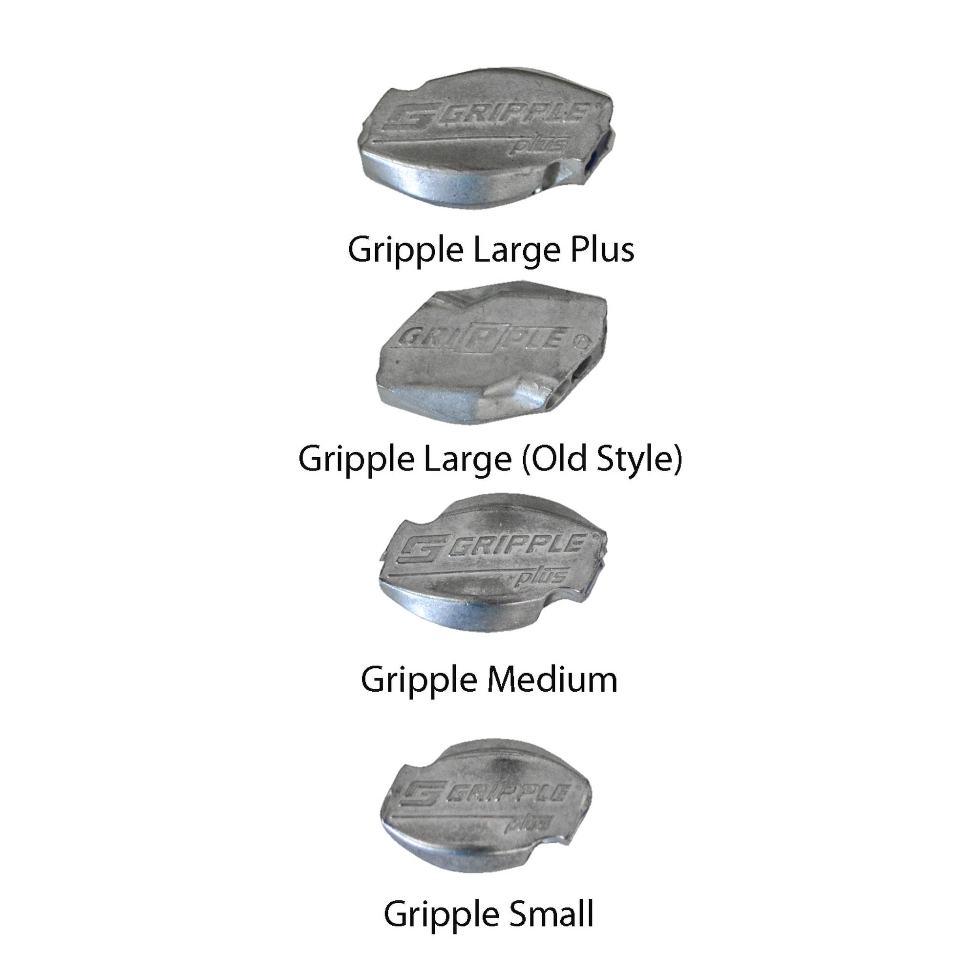 CGLP_CGL_CGM_CGS_2025edit_5827