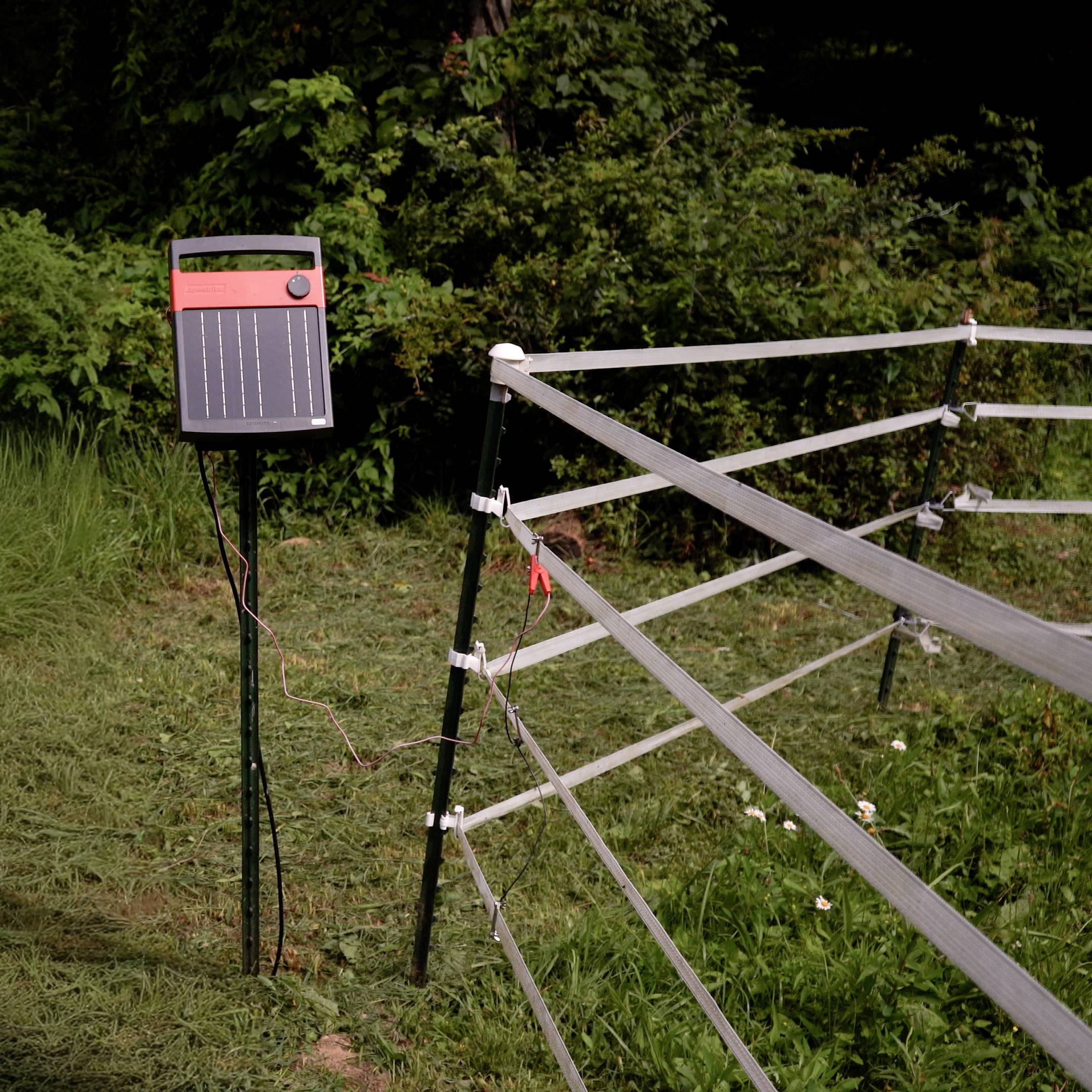 Speedrite Solar Energizer