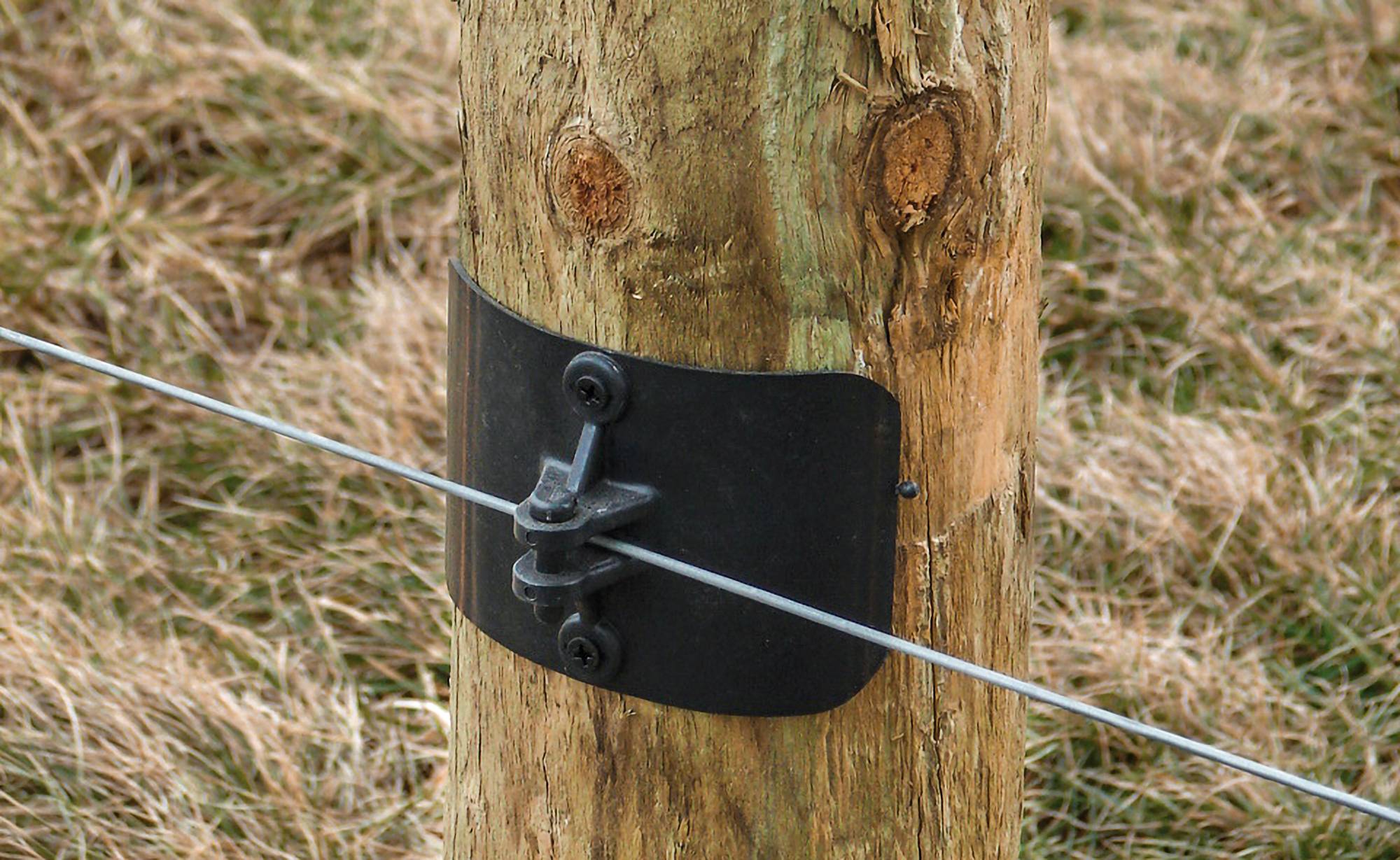 Corner Collar, image size:2000x1229