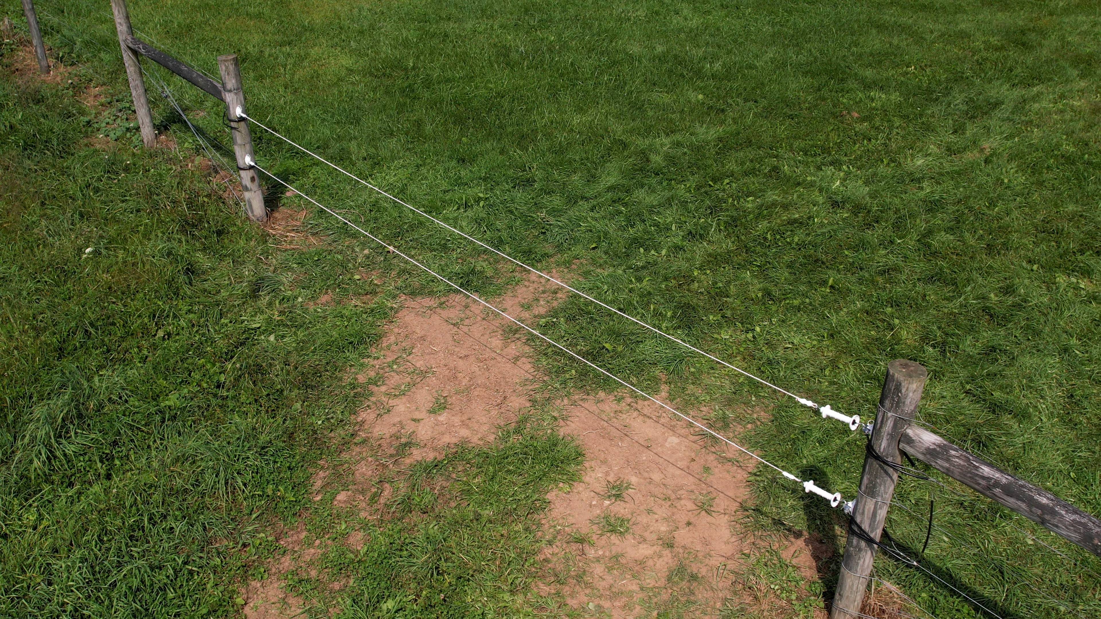 Electric Bungy Cord, per ft, image size:3840x2160