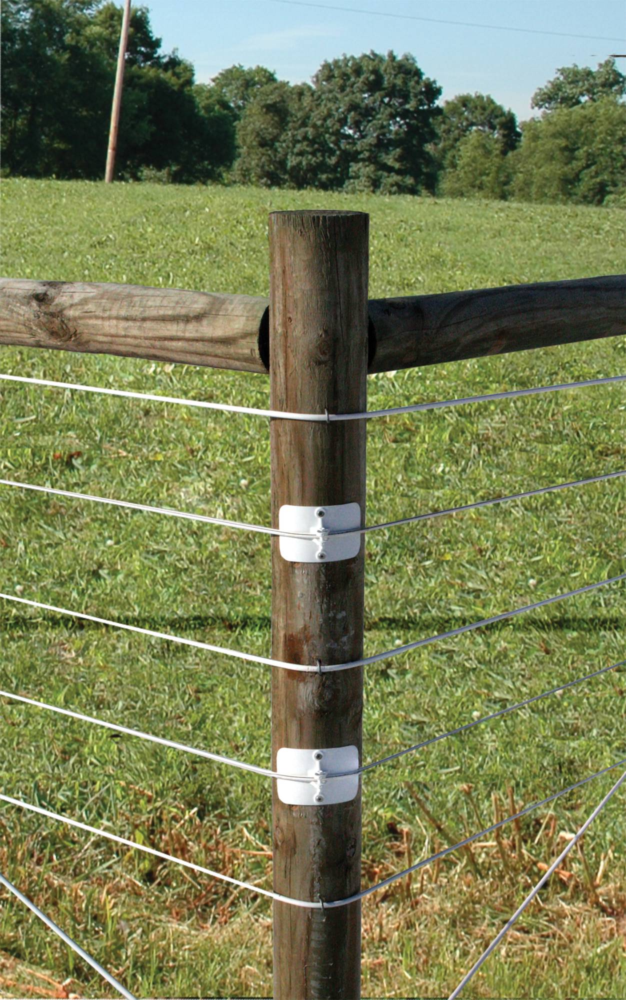 Corner Collar, image size:1252x2000