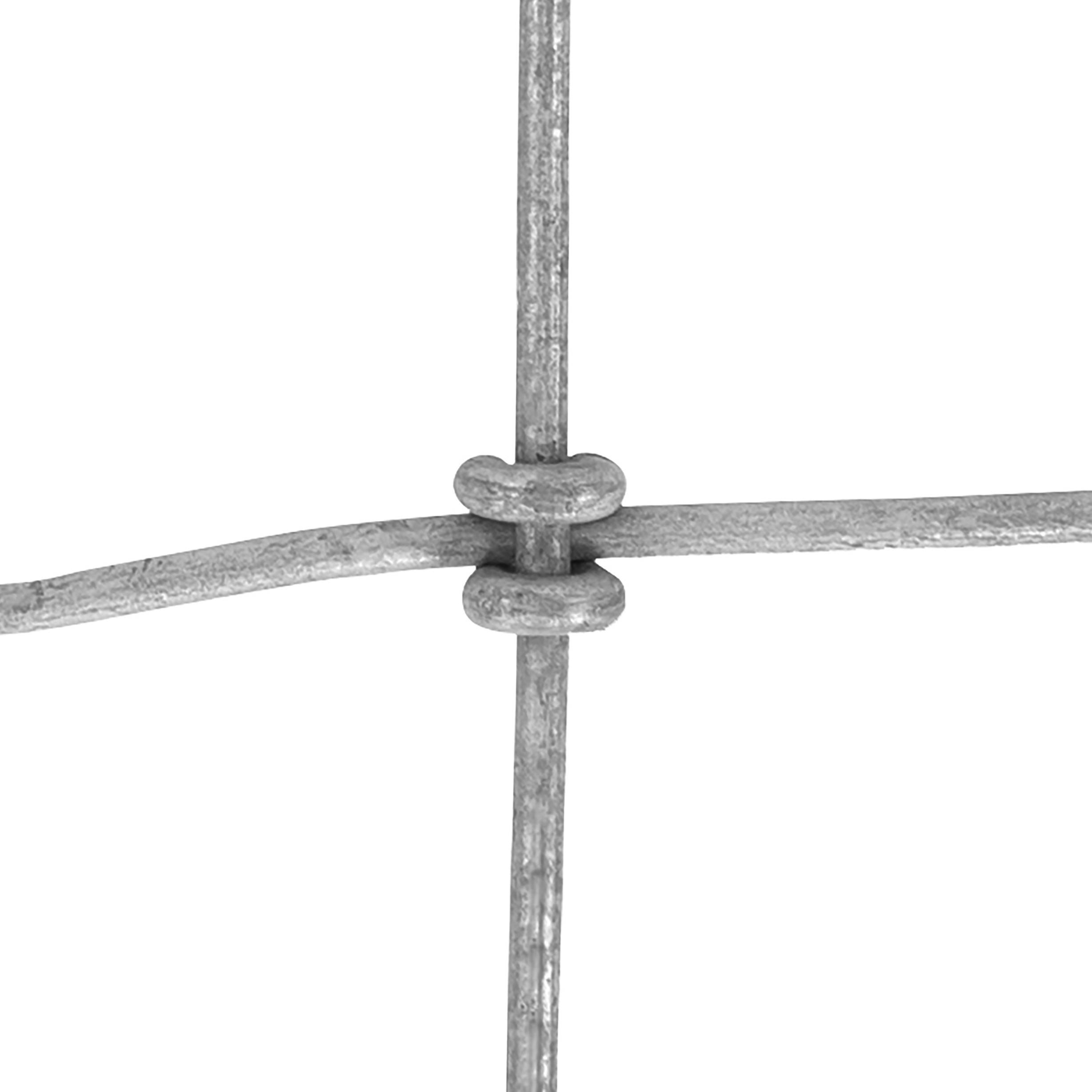 2102～1202 Fastlock Woven Wire, 13/48